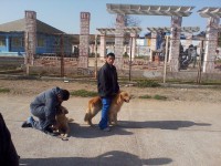 /album/a2011-escuela-especial-nueva-esperanza/a6-jpg/